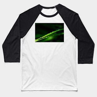 Drops on a straw Baseball T-Shirt